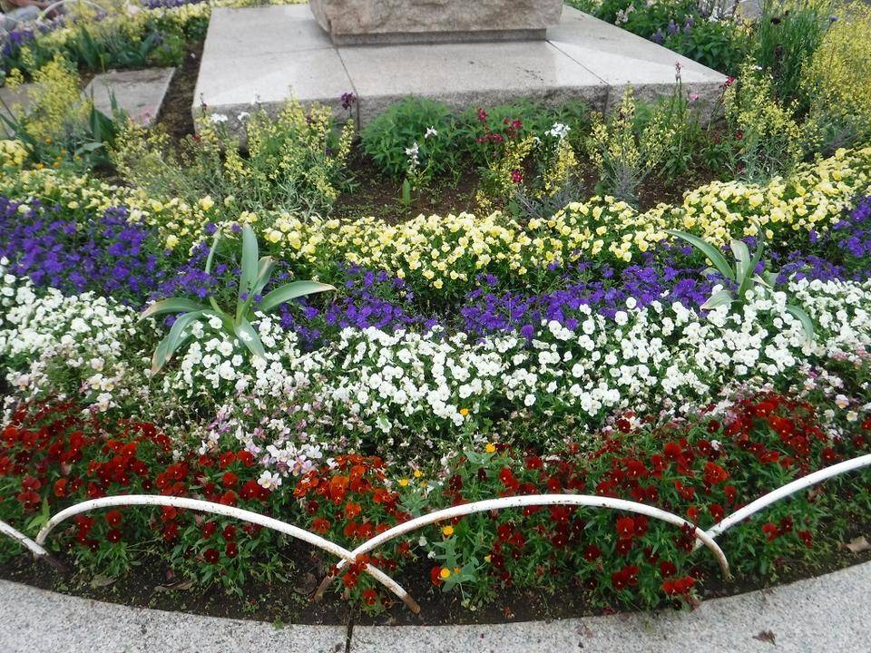 DSCF6828.jpg
