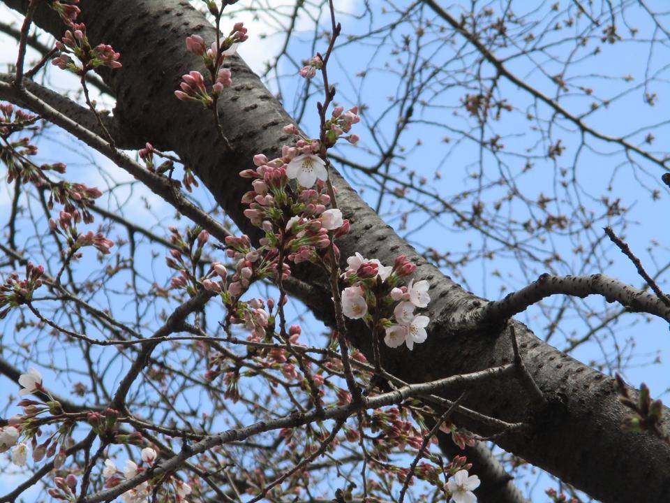 0320元町公園遊具広場2.jpg