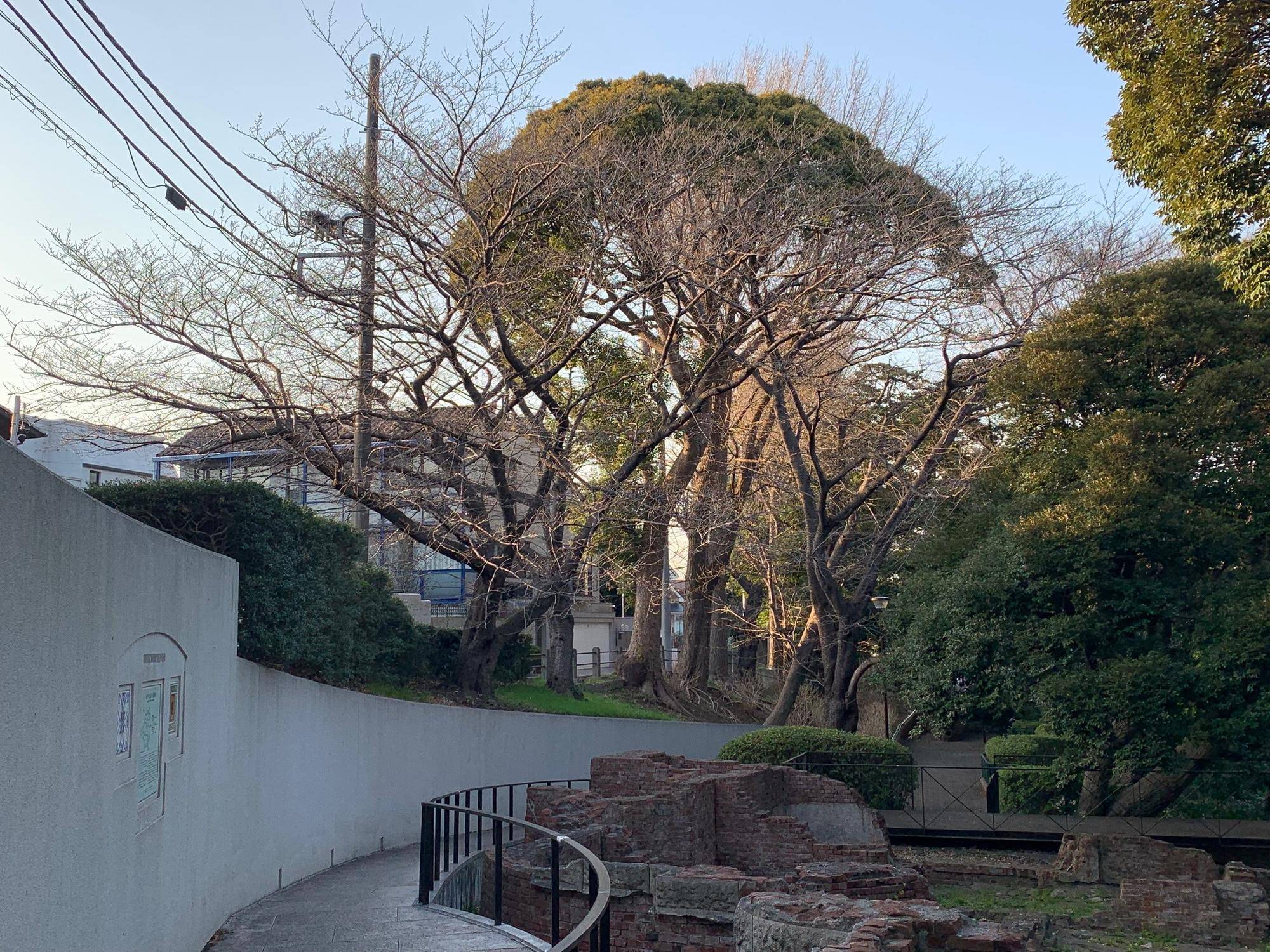 0307元町公園 (2).jpg