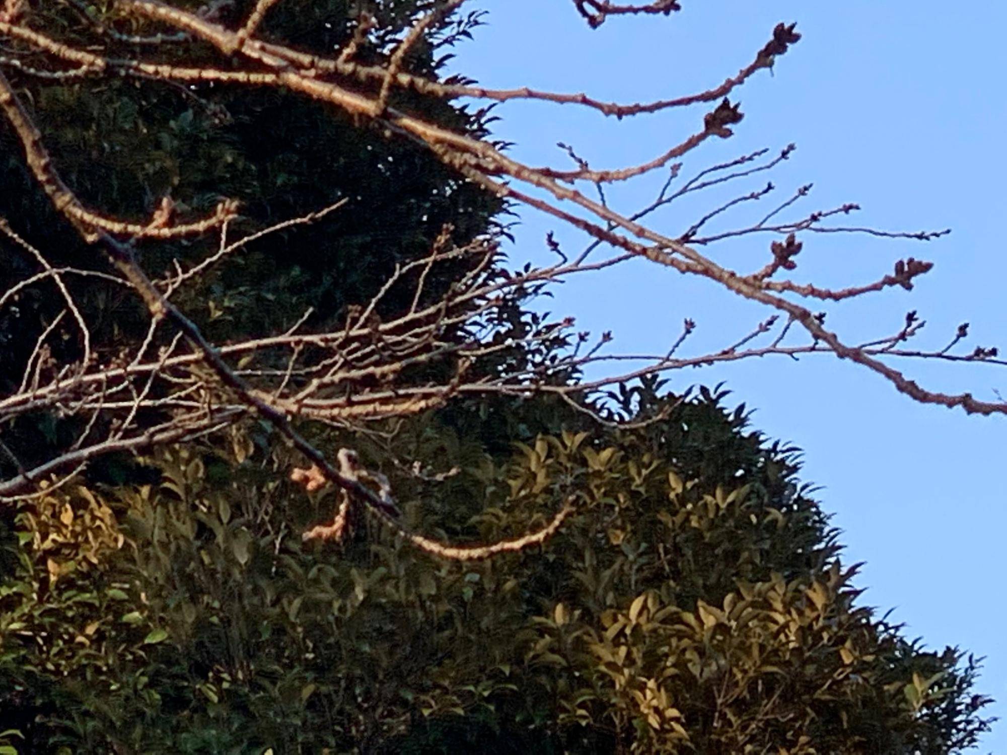 0307元町公園 (1).jpg