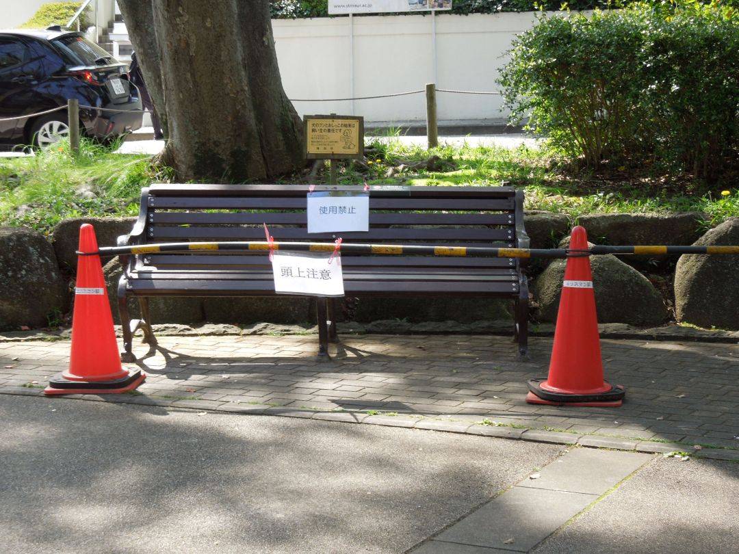 0407【エリスマン邸】折れ枝注意 (1).jpg