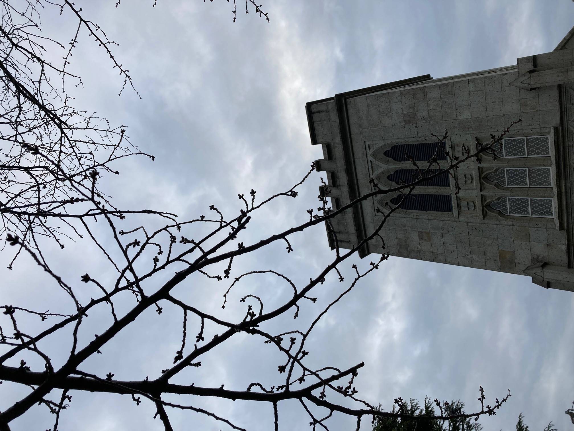 0307元町公園聖 公会前.jpg