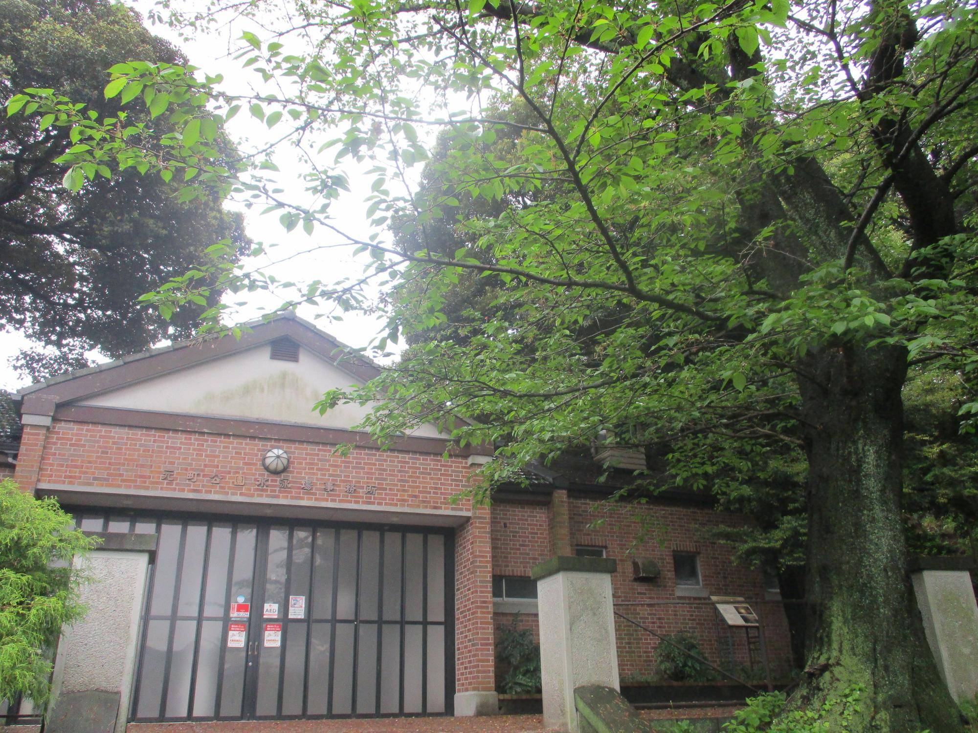 0422元町公園桜情報 ②.jpg