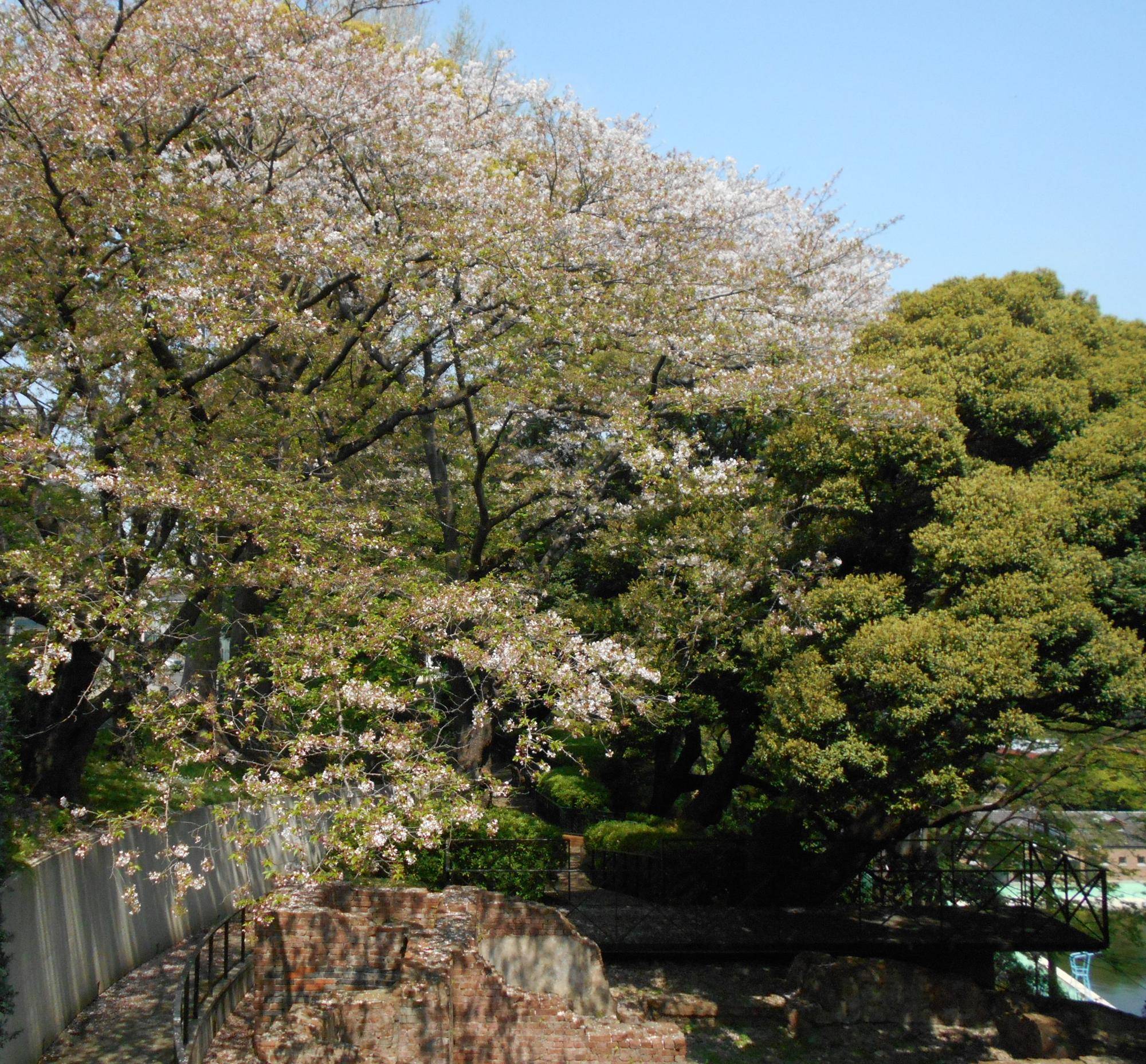 0412エリスマン邸：元町 (1).jpg