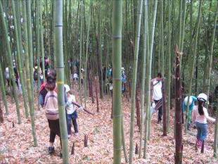 たけのこ狩りを開催しました!