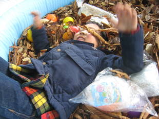 2月のおしゃべり場:落ち葉プールで宝さがし