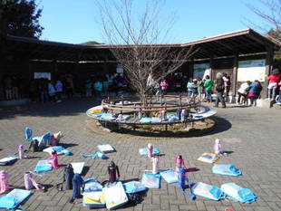 小学生の野鳥観察会