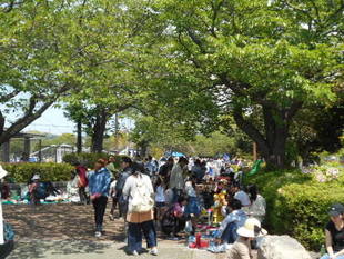 4月29日　つつじ祭り開催