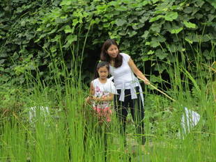 「トンボとり大作戦」「竹の風車作り」