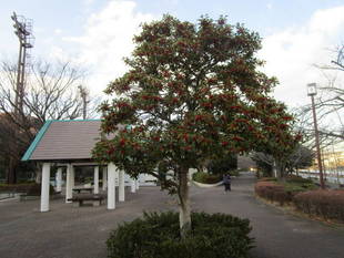 長浜公園でリフレッシュ！！