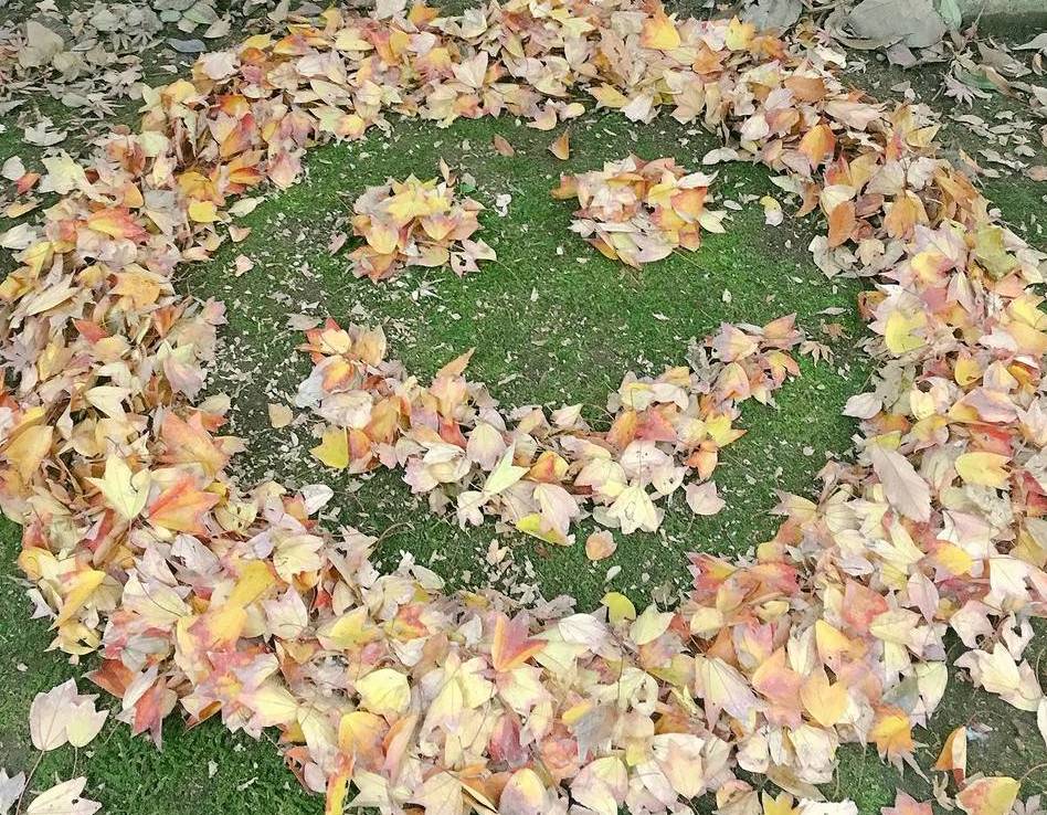 落葉アートでほっこり気分(^^♪の写真