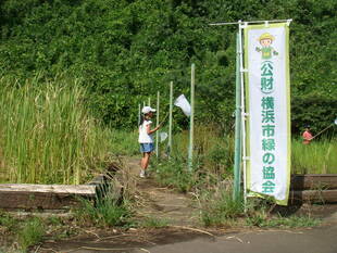 トンボとり大作戦③を開催しました♪