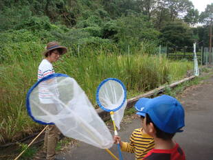 トンボとり大作戦④を開催しました