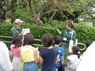 植物観察ツアーを開催しました