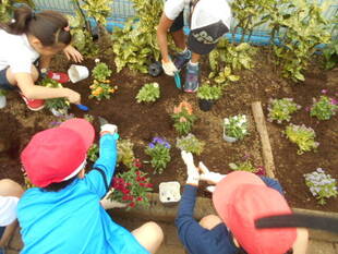近隣の小学校の生徒さんたちと秋冬花苗を花壇に植込みました♪（花育イベント開催）