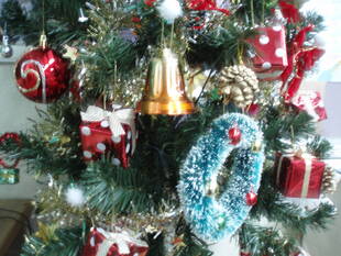 クリスマスツリーを設置しました☆