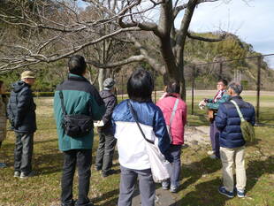 『第６回植物観察ツアー』を開催