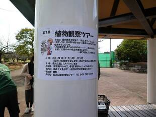 『第７回植物観察ツアー』を開催