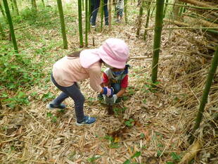 梅雨の合間の『たけのこ狩り』イベント！