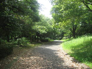 長浜公園から見える夏色の風景