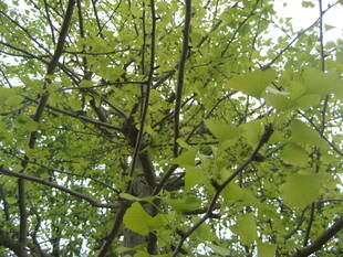 長浜公園からの夏の終わりの便り♪