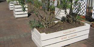 バラ博士による『第1回植物観察ツアー』開催！