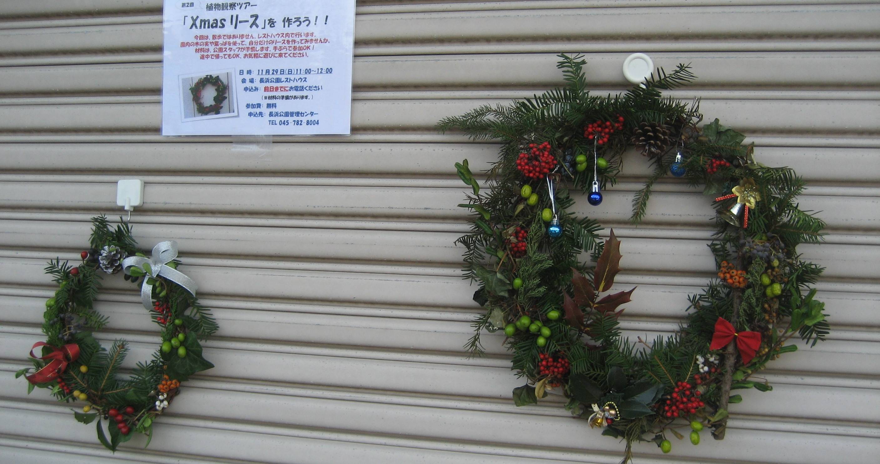 第2回植物観察ツアー・講座「クリスマスリース」を作ろう!!開催の写真
