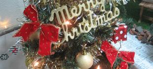 レストハウスで『クリスマスツリー★』がお出迎え！