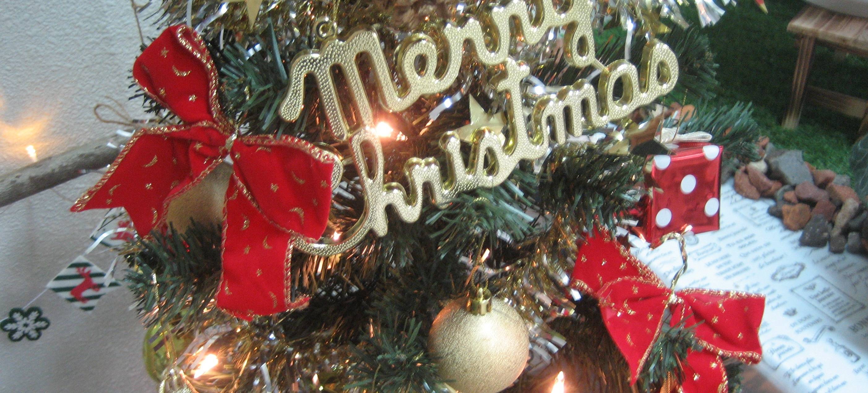 レストハウスで『クリスマスツリー★』がお出迎え!の写真