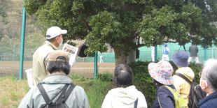 第6回植物観察ツアー・園内の早咲きの花を巡るツアーを開催しました