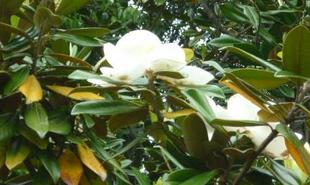 野鳥観察小屋D窓あたりの風景