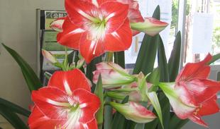 長浜公園レストハウスでビックリ！