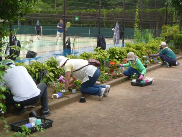 ボランティアさんたちと夏の花苗を植えました♪ の写真