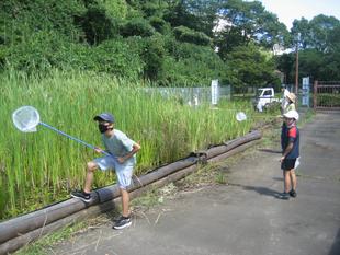 「第2回トンボとり大作戦」開催！