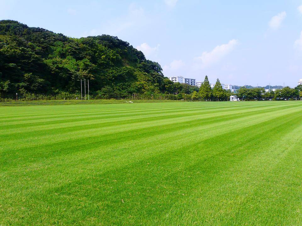 長浜公園トップ画像1