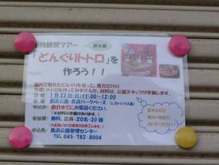 「植物観察ツアー⑥『どんぐりトトロ』を作ろう！」を開催しました