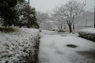 雪景色と特別巡視