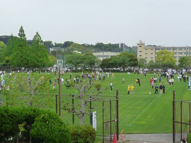 長浜公園【つつじ祭り】開催♪の写真