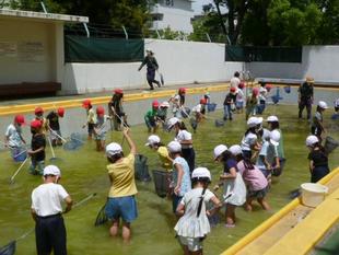 ヤゴ救出大作戦を開催しました☆