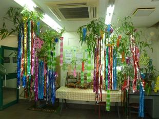 七夕飾りを設置したよ～♪短冊に願いを書いて飾りましょう♪