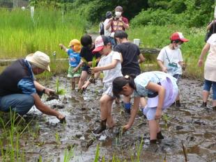 みんなで田植え、たまには泥んこも良いもんです♪　