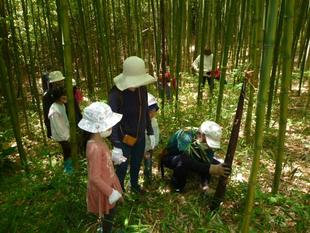 【タケノコ狩り】開催しました♪
