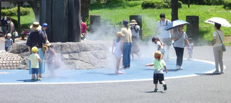 7月です!ミスト開始しますよ~♪の写真