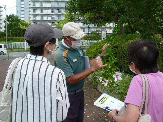 【第3回植物観察ツアー】を開催しました♪の写真