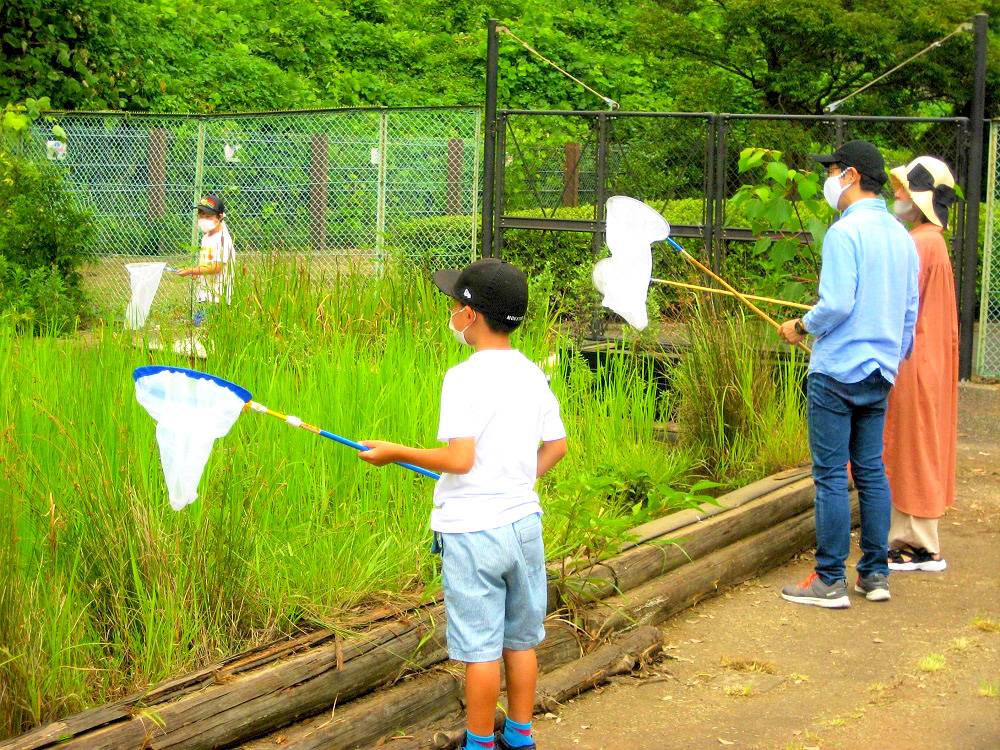 トンボとり大作戦を開催します イベント 講座 教室情報 長浜公園公式サイト 公益財団法人 横浜市緑の協会 トンボとり大作戦を開催します イベント 講座 教室情報 長浜公園公式サイト 公益財団法人 横浜市緑の協会