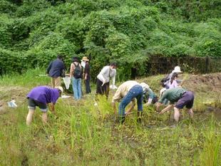 今年も【稲刈体験】をやったよ♪