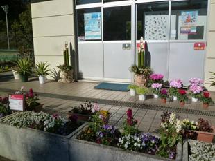 【令和5年の始まりです。今年もよろしくお願い致します。】