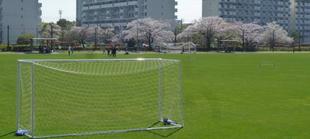 【サクラ開花情報2023】3月29日　晴桜
