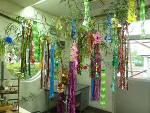 『星に願いを☆』【七夕飾り】を設置しました♪