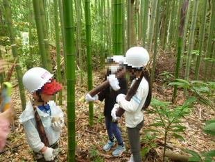 今年も【タケノコ狩り】を実施しましたよ～!(^^)!♪